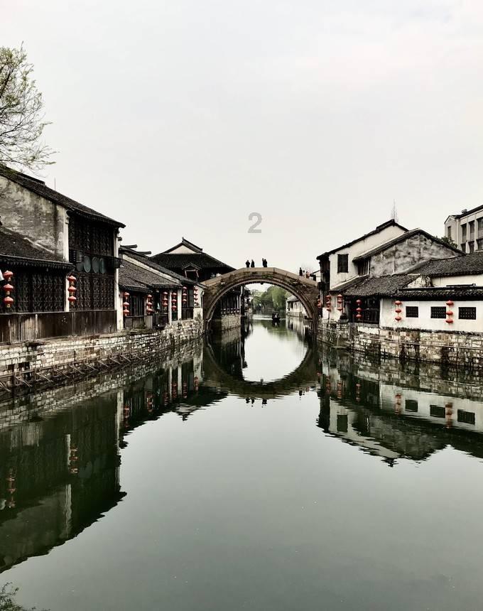动物帮帮忙保卫家园